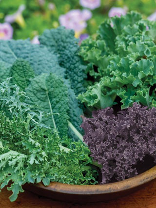 Kale Blend