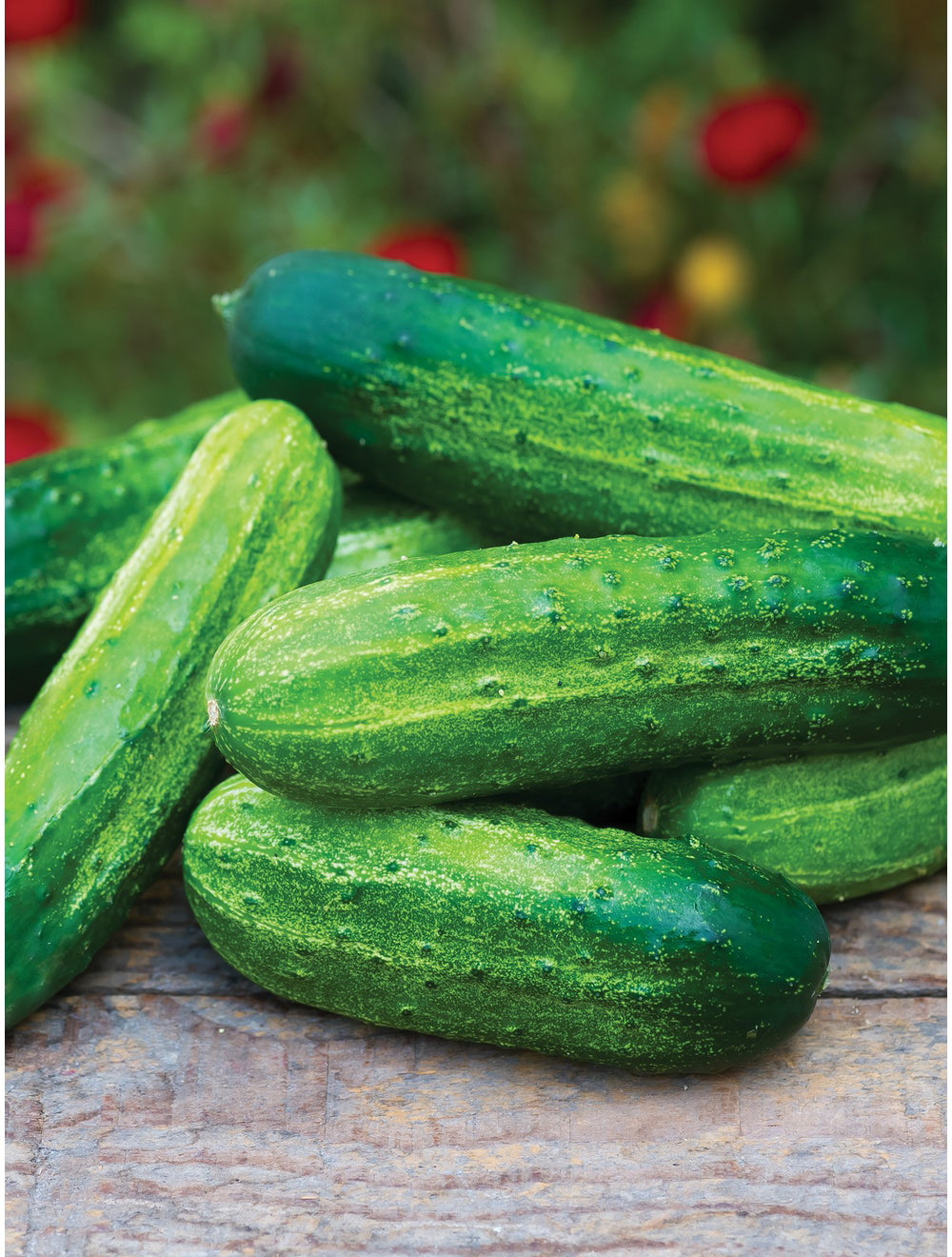 Pick a Bushel Pickling Cucumber