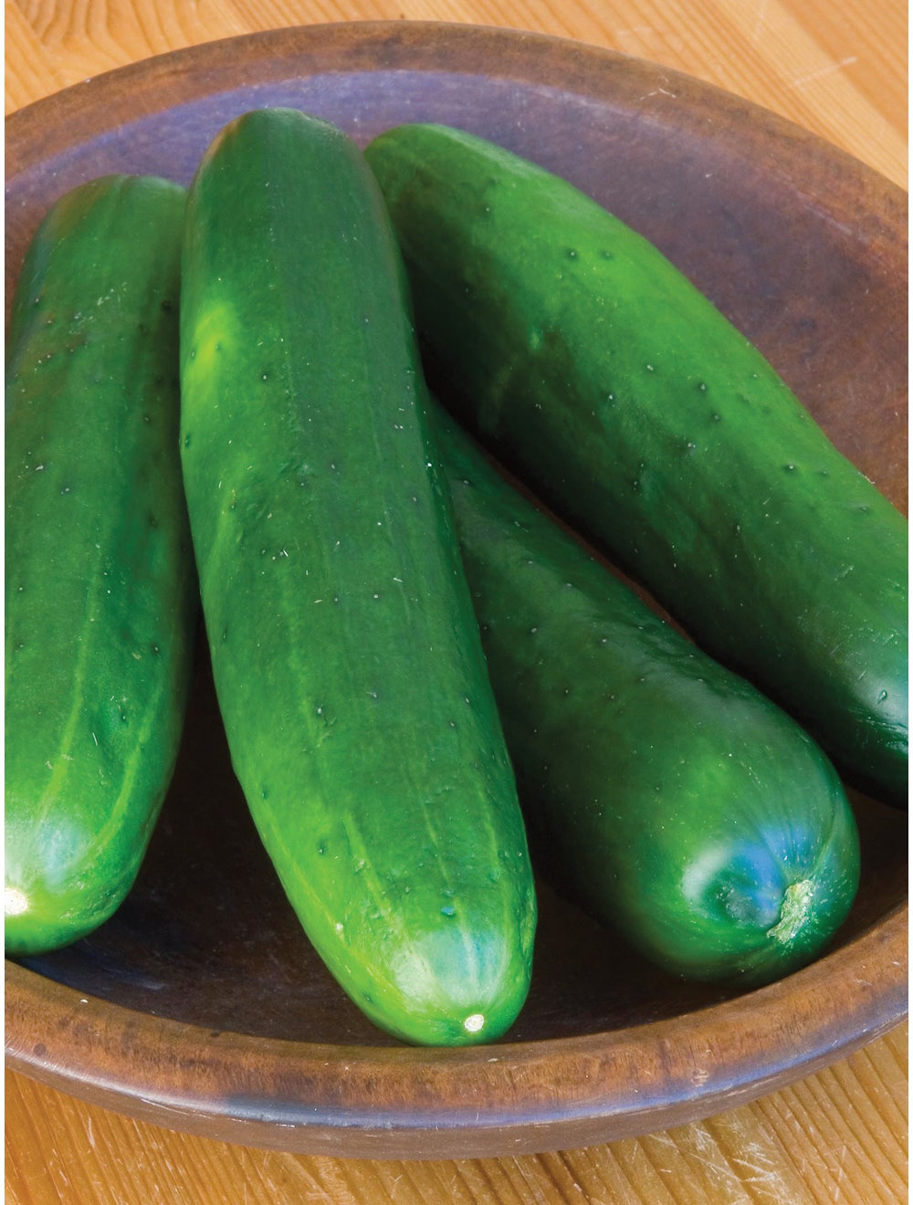 Burpless Beauty Cucumber