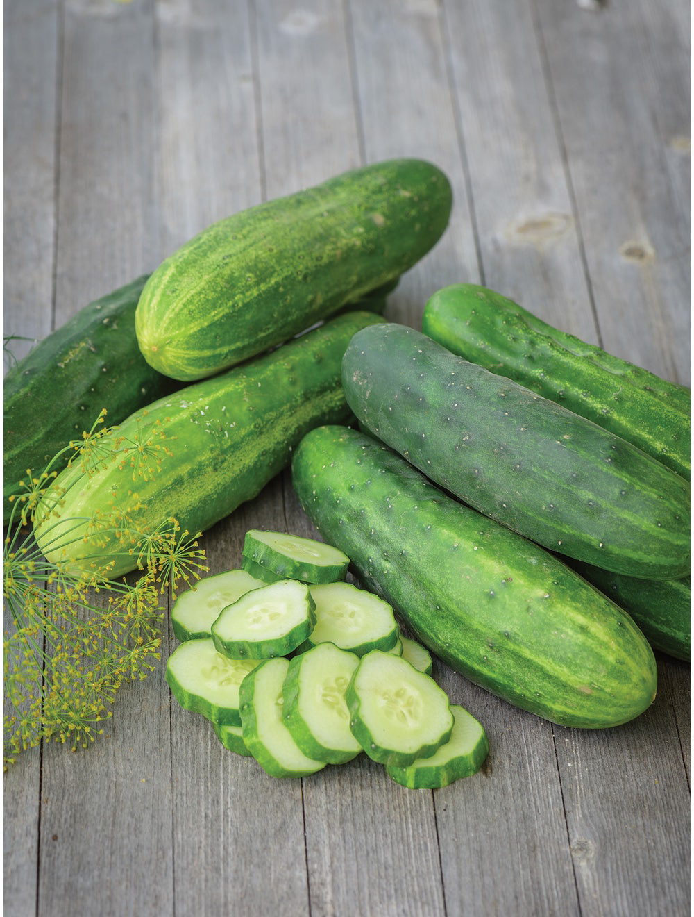 Straight Eight Cucumber