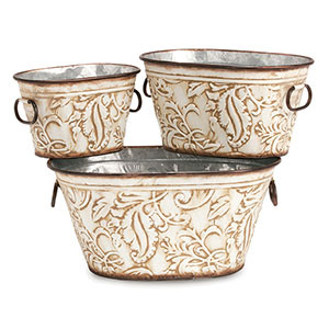 6", 12" & 5 Gallon Sizes