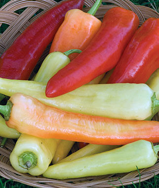 Sweet Banana Pepper