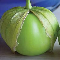 Tomatillo Gigante