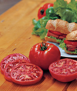 Steak Sandwich Beefsteak