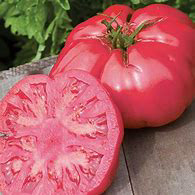 Bodacious - Beefsteak