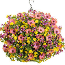 Bundle of Joy PW