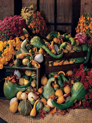 Assorted Gourds