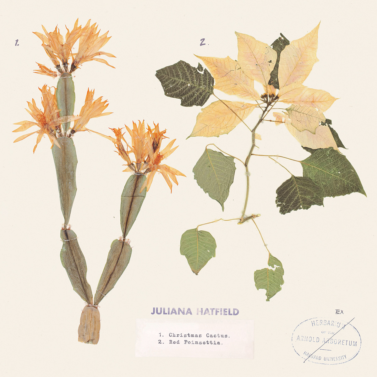 7" single front cover