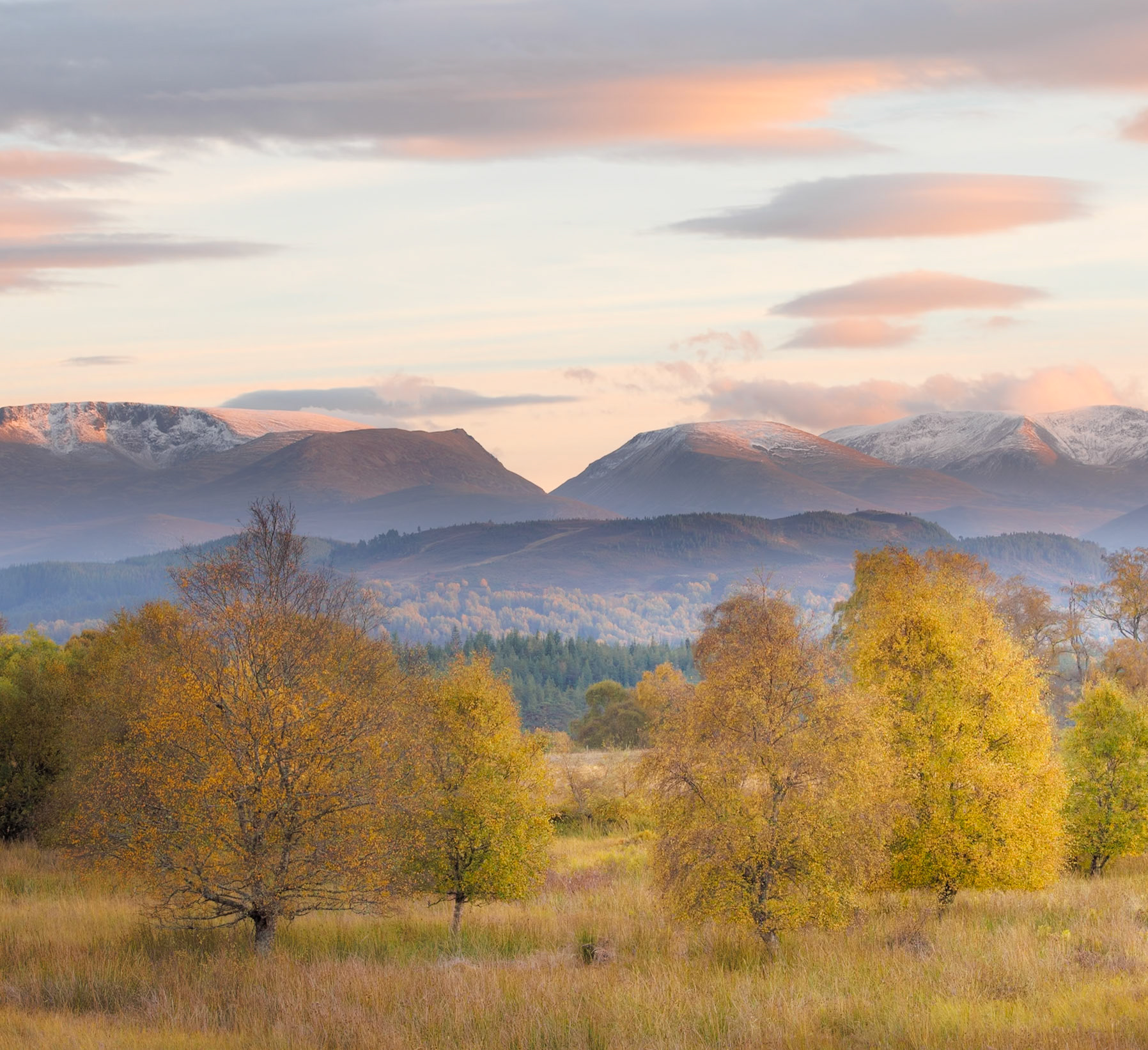 View to the Cairngorms