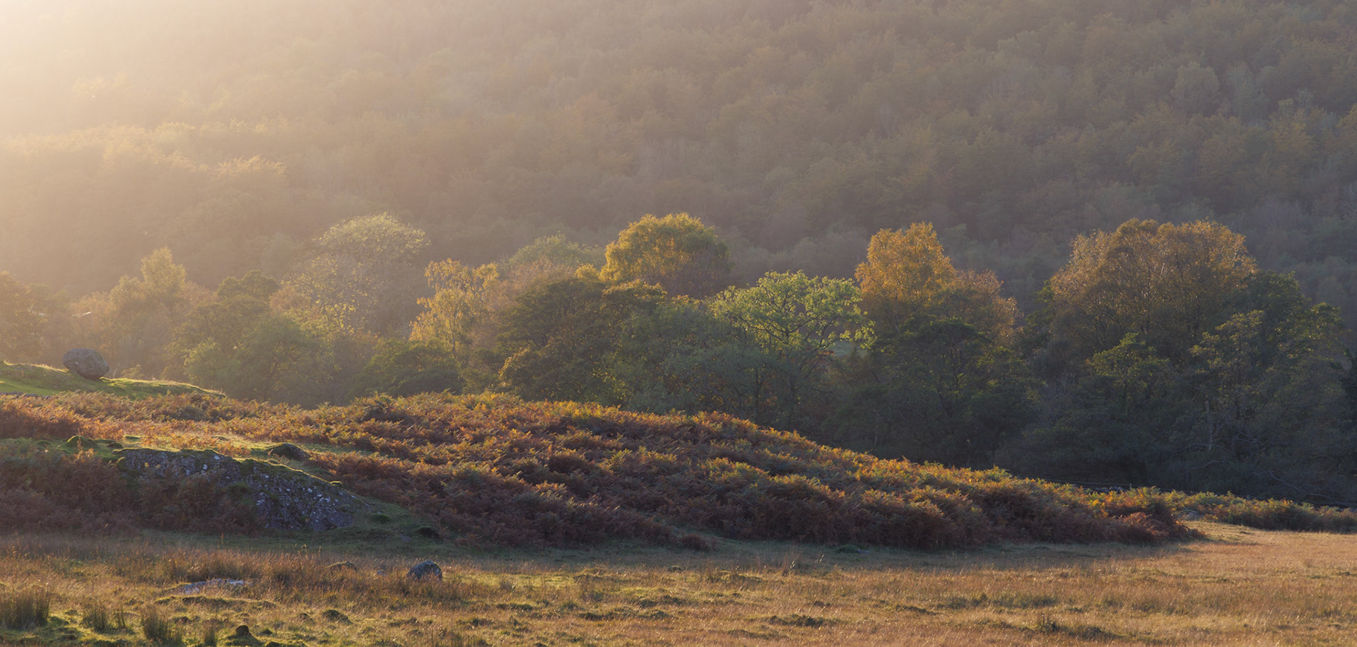 Dunnerdale Autumn Light