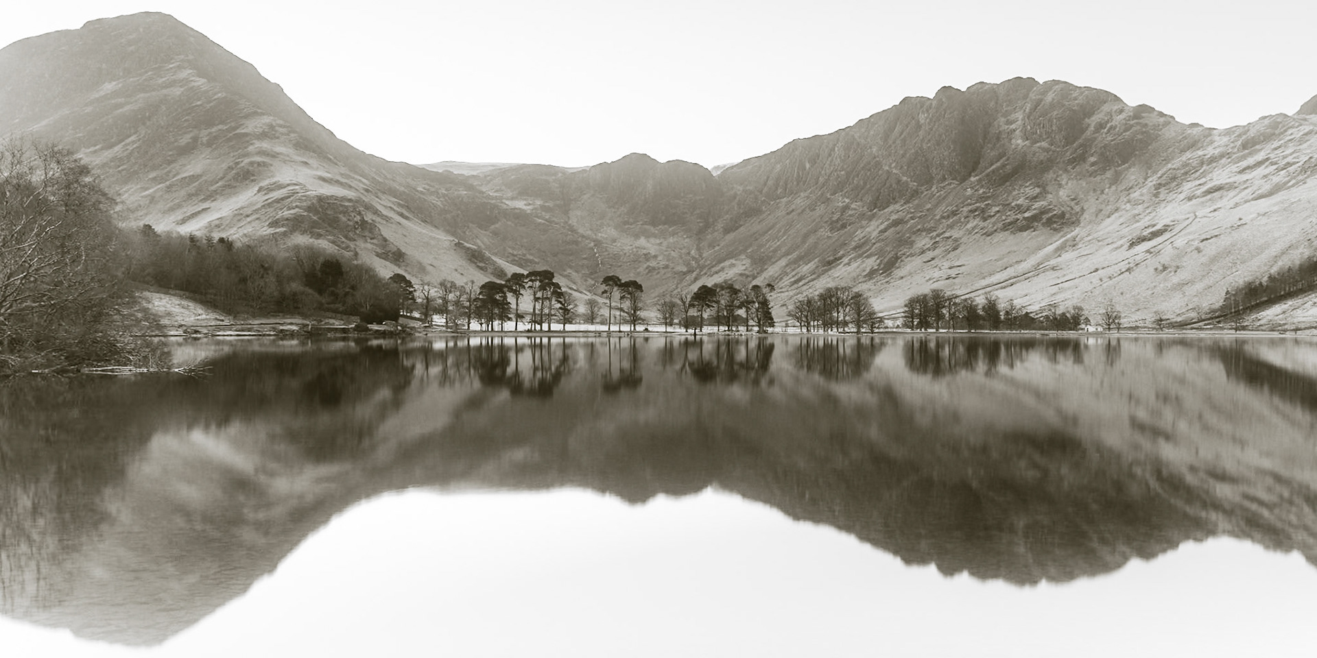 Buttermere Pines