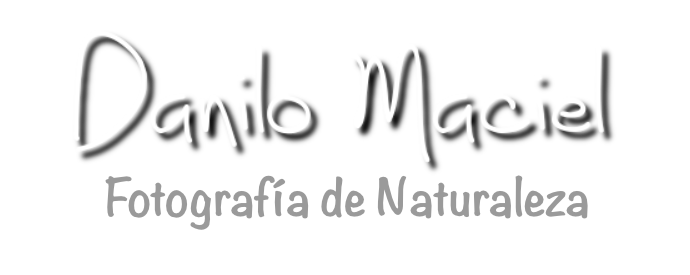 Danilo Maciel