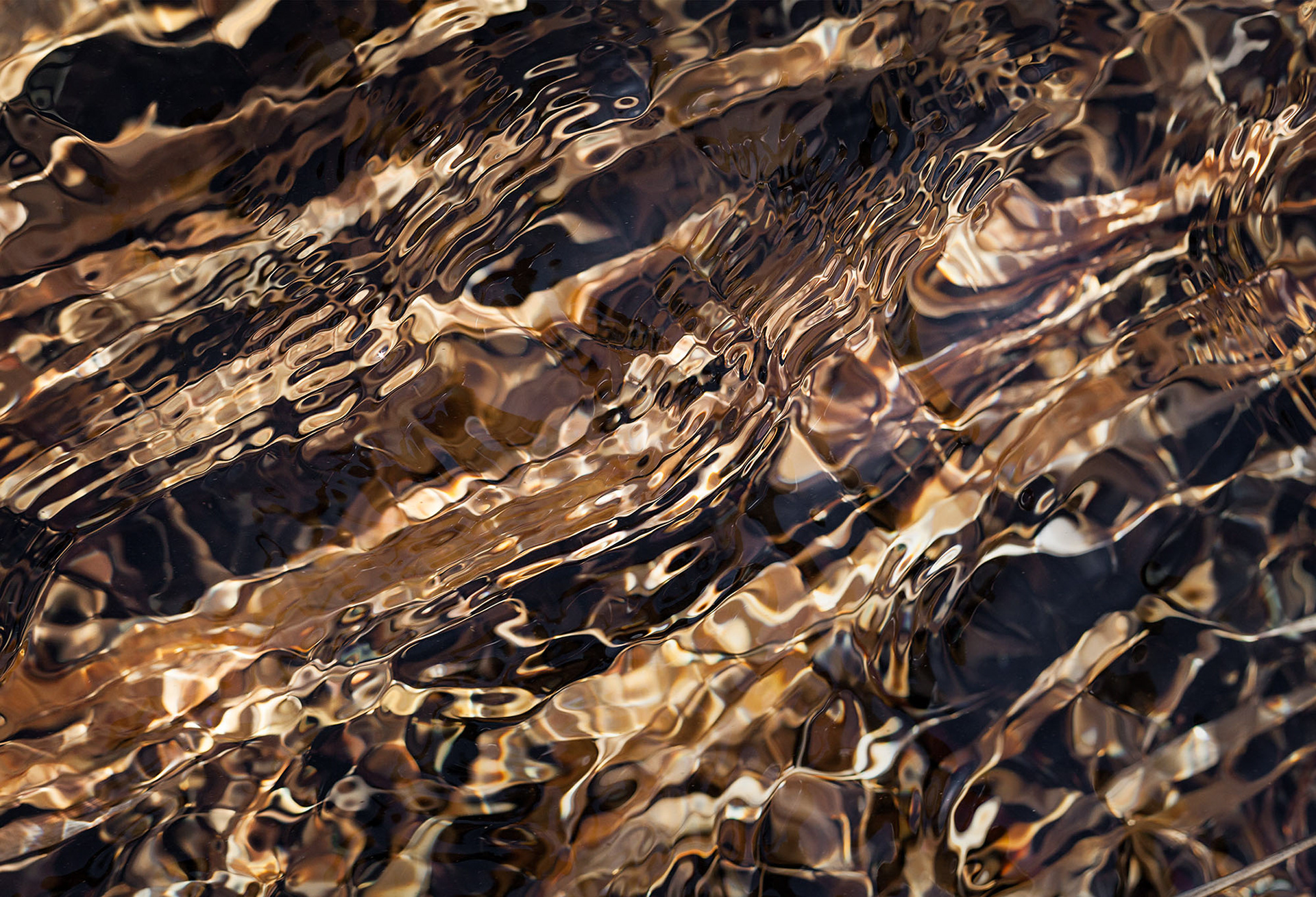 Immersion #3, 30" x 44", edition of 10, $1660