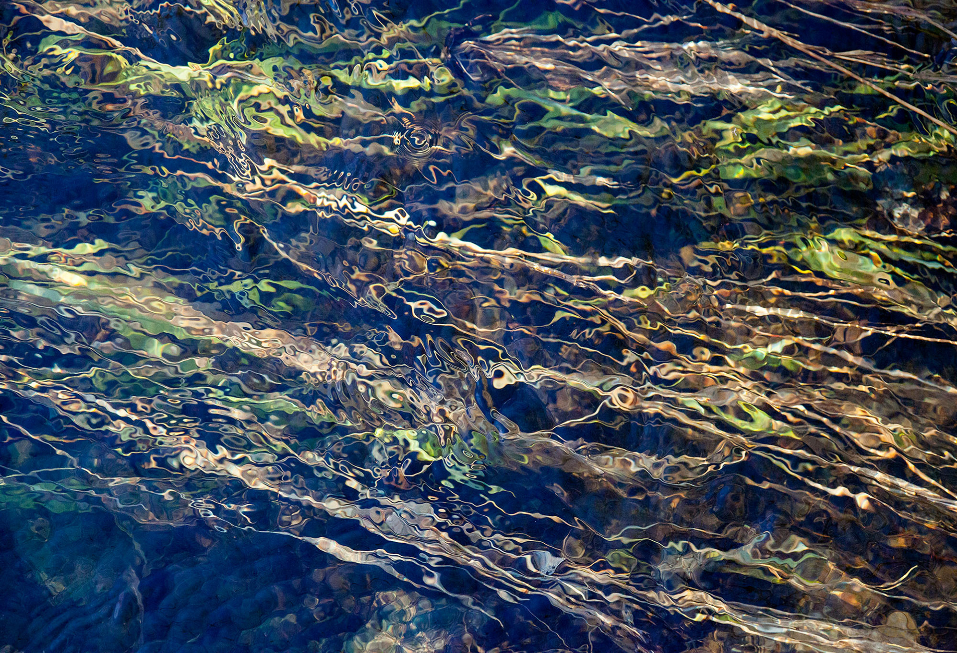 Immersion #2, 30" x 44", edition of 10, $1660