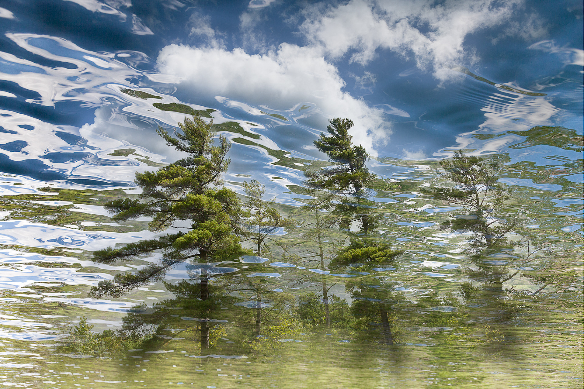 Radiance #2, limited edition fine art photograph, 3 sizes available