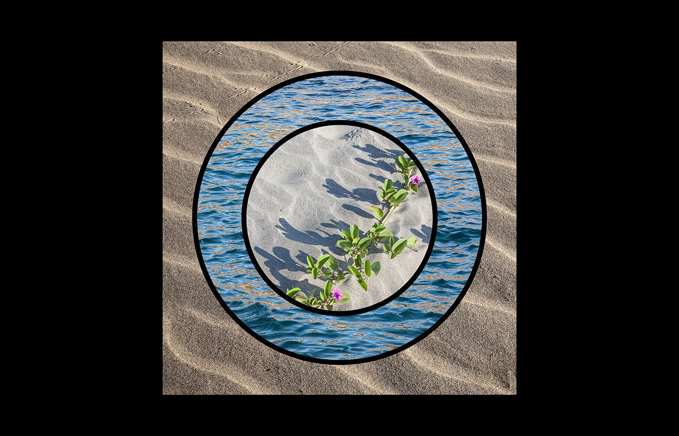 Water Meditation II, 12"x12", limited edition of 20, $425