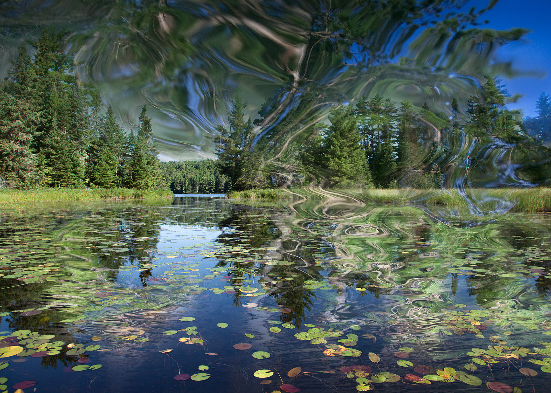 Radiance #1, limited edition fine art photograph, 3 sizes available