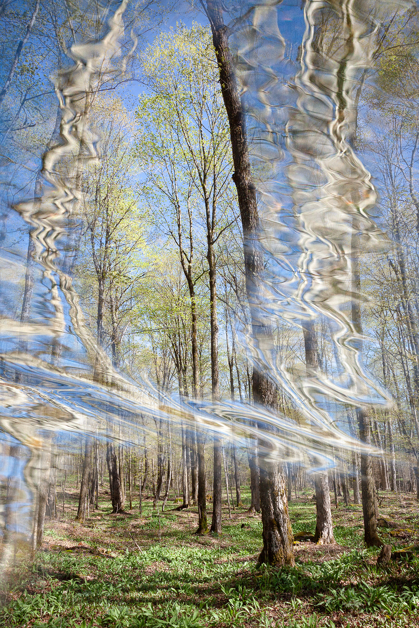 Radiance #10, limited edition fine art photograph, 3 sizes
