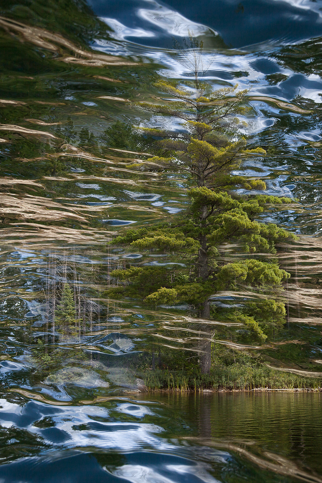 Radiance #6, limited edition fine art photograph, 3 sizes available