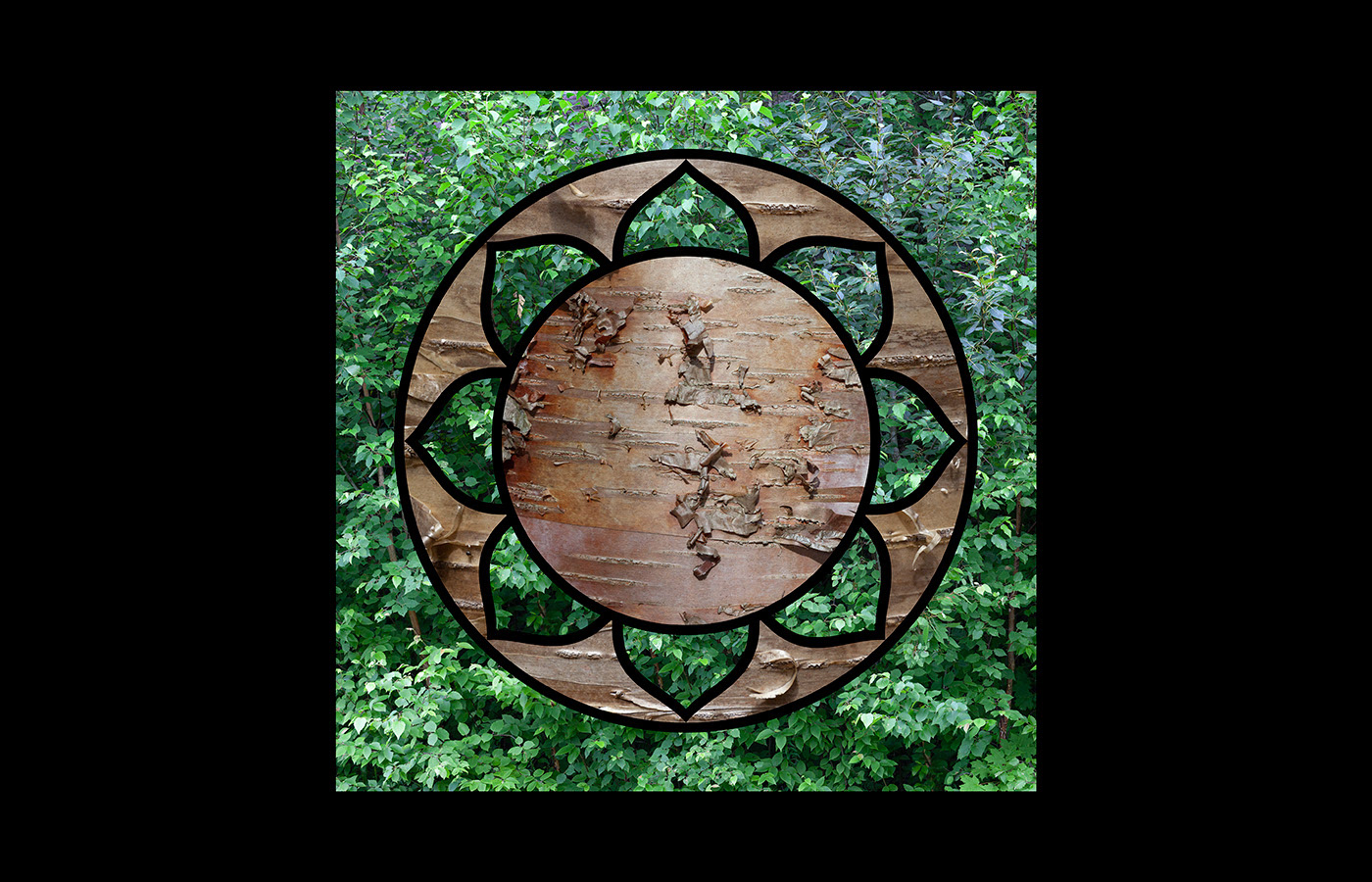 Birch Meditation, 10"x10", limited edition of 10, $310