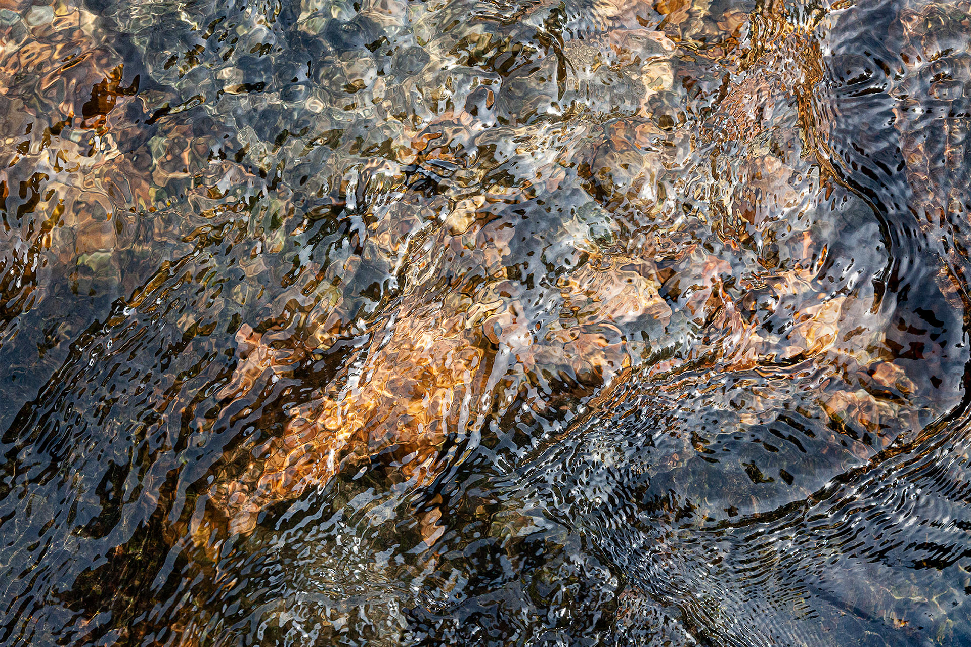 Immersion #7, 16" x 24", edition of 10, $800