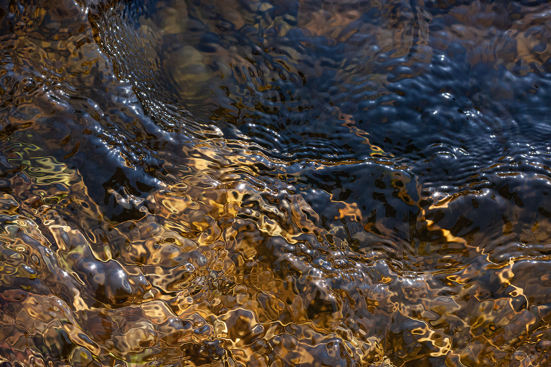 Immersion #4, 16" x 24", edition of 10, $800