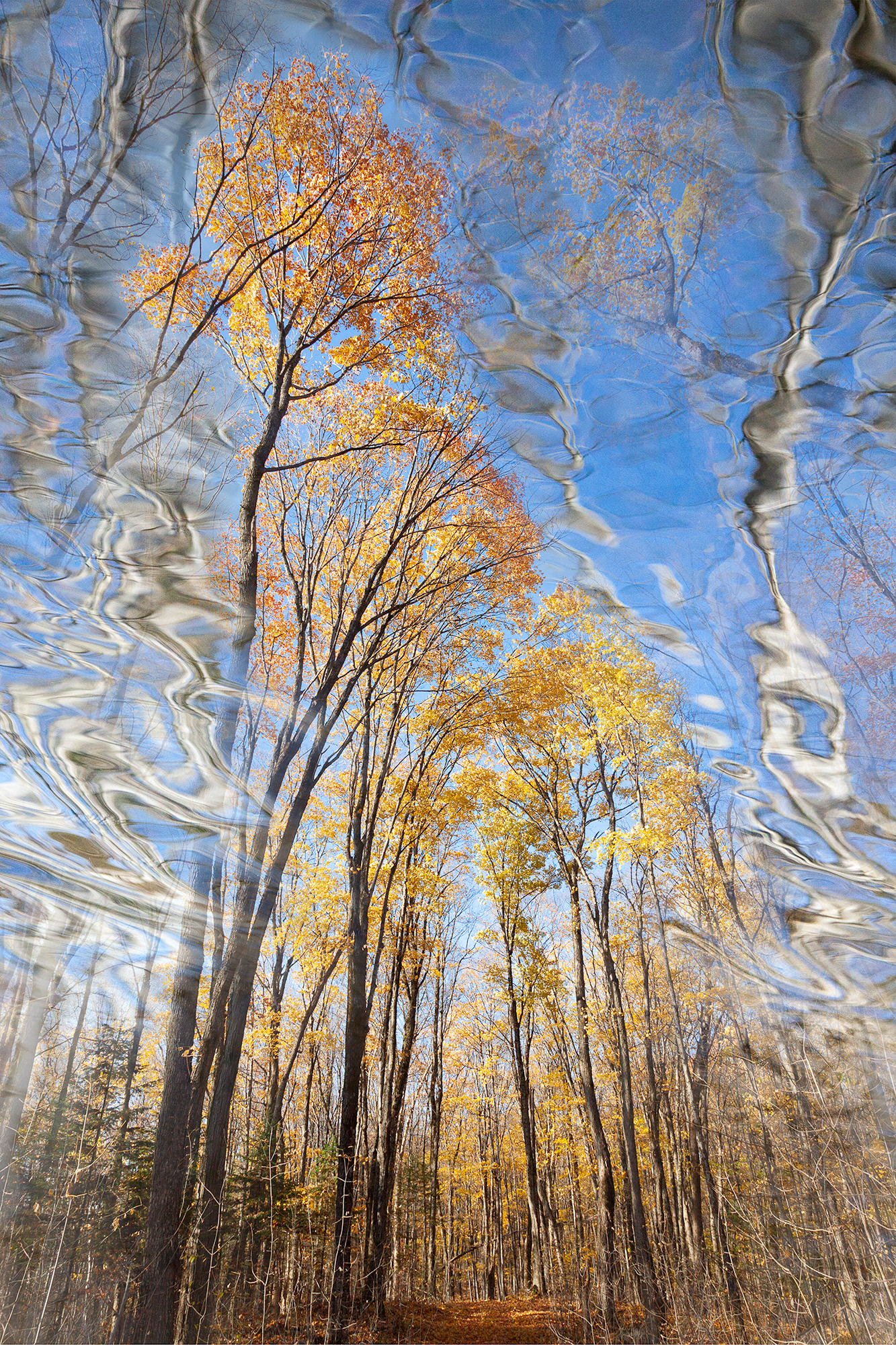 Radiance #4, limited edition fine art photograph, 3 sizes available