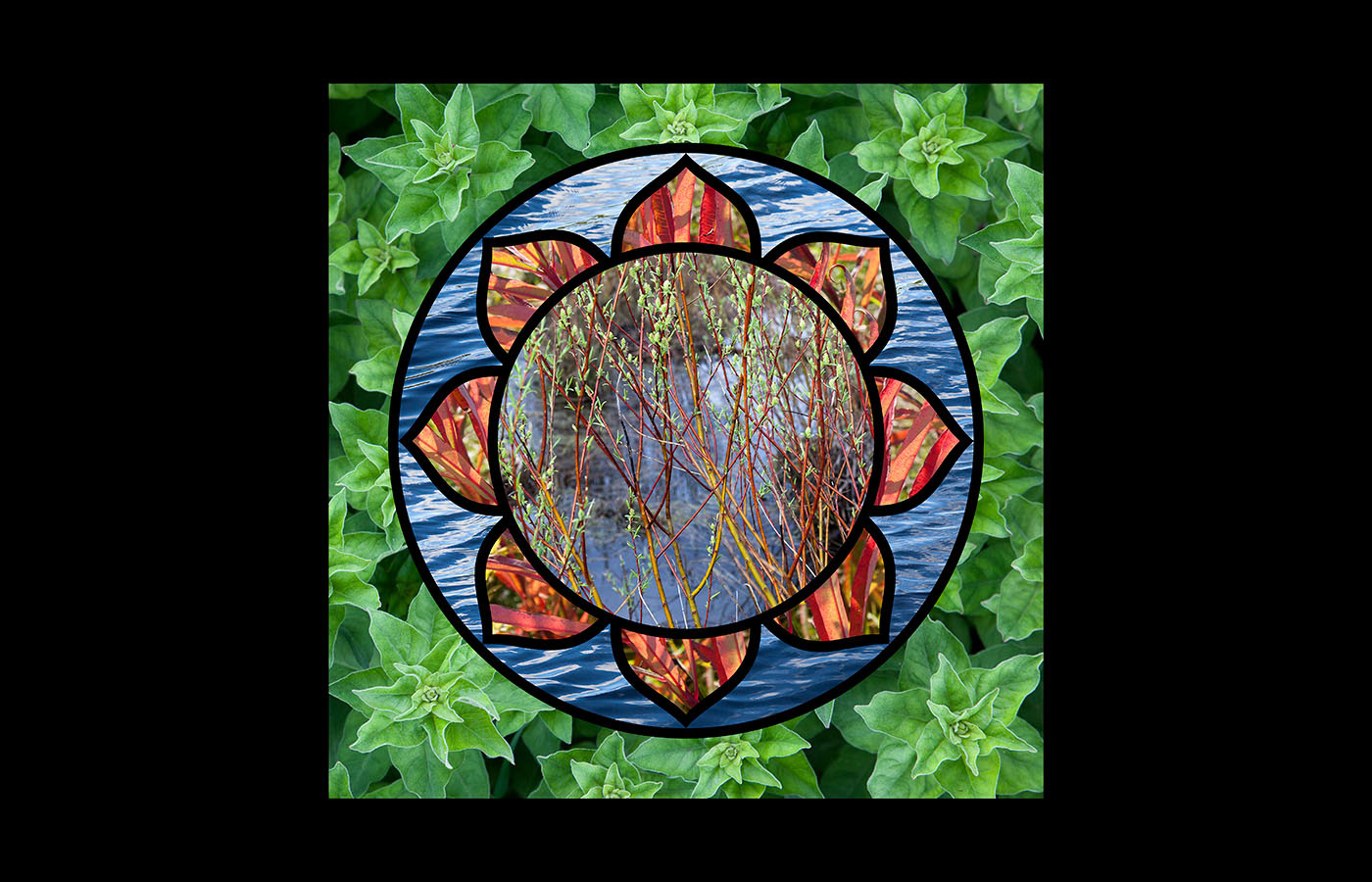 Meditation on Water & Life, 12"x12", limited edition of 10, $525