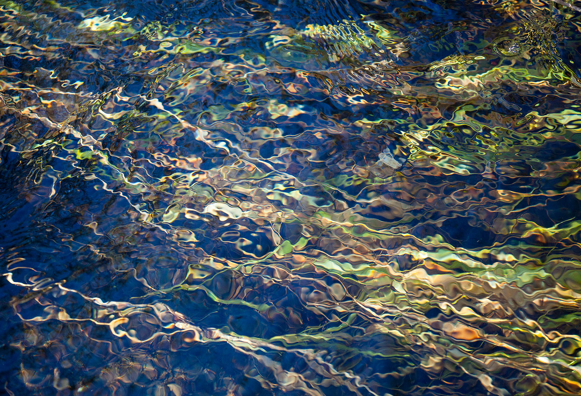 Immersion #1, 30" x 44", edition of 10, $1660