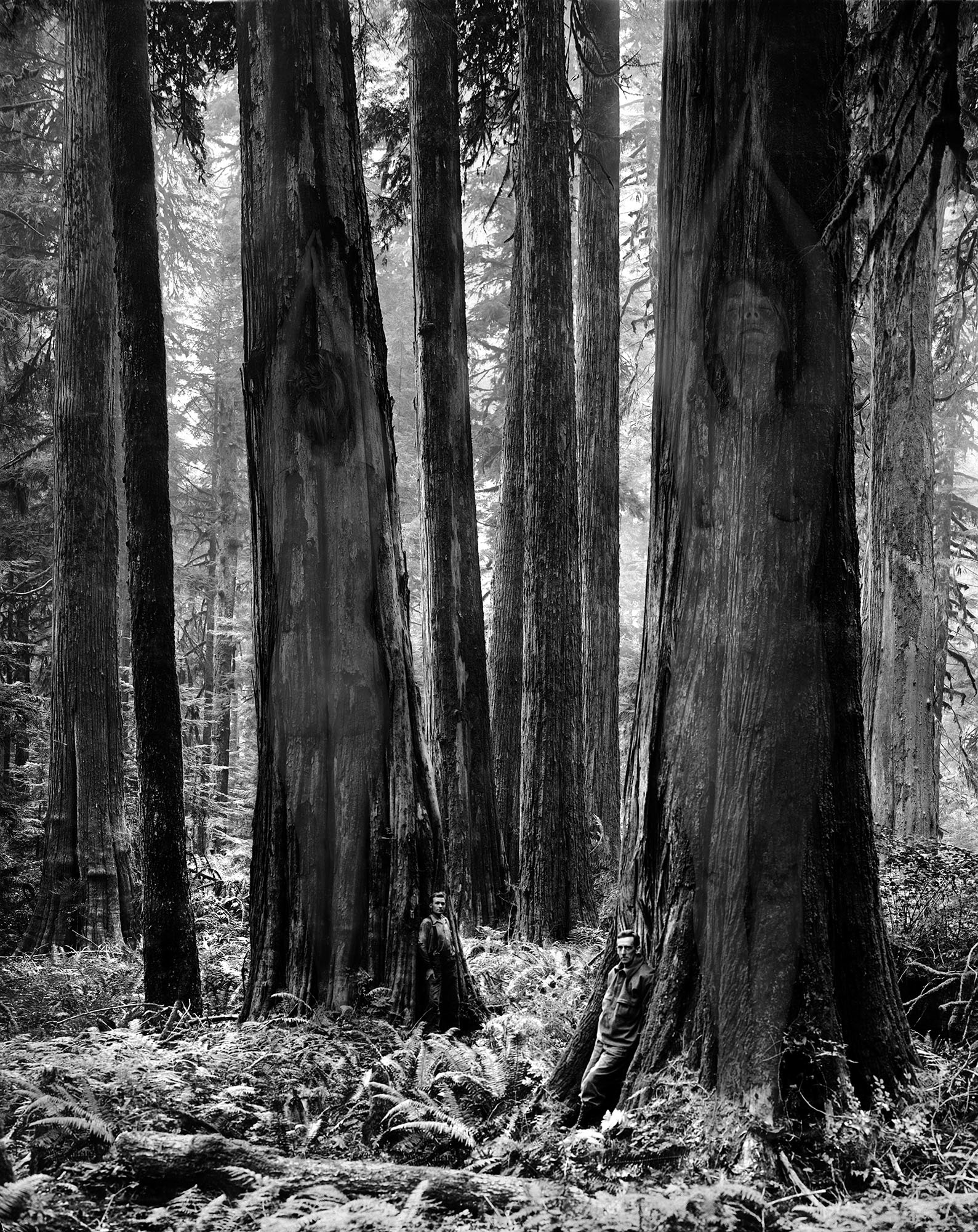 Guardians, 13"x16", edition of 40, $585, base image: UBC Rare Books & Special Collections BC 1456/33/89