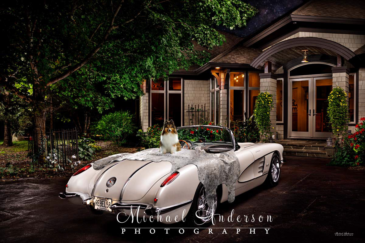 A stunning light painted photograph of a 1958 C1 Corvette, a cute Sheltie, and the client's beautiful home.