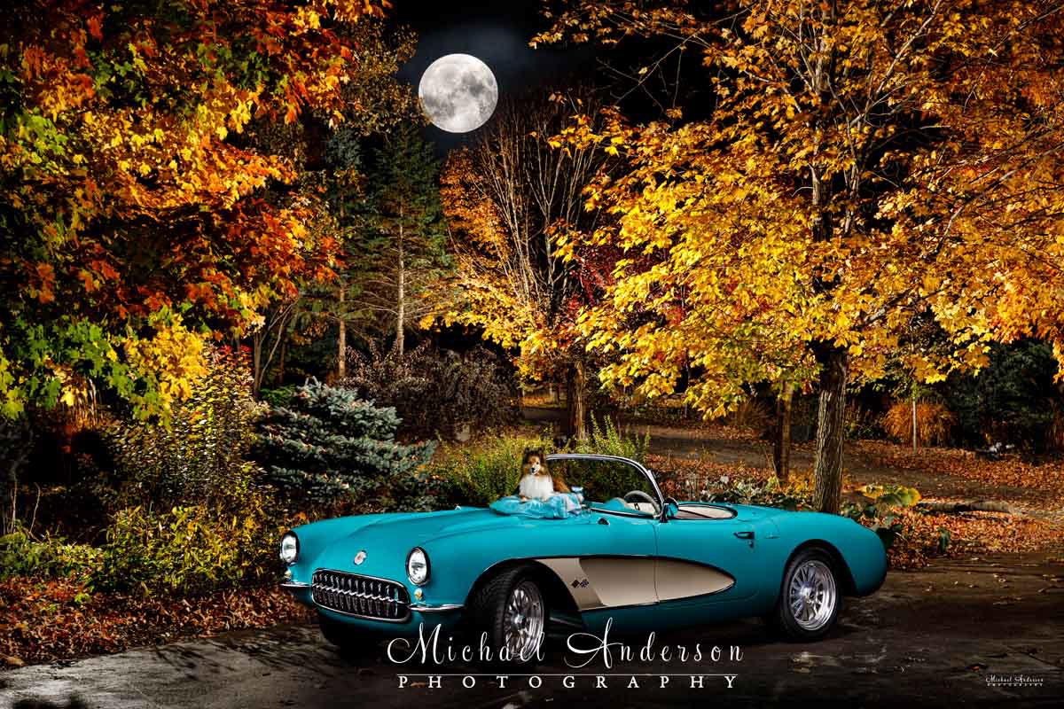 A stunning light painted fall color photograph of a 1957 C1 Corvette and a cute Sheltie, named Chaos!
