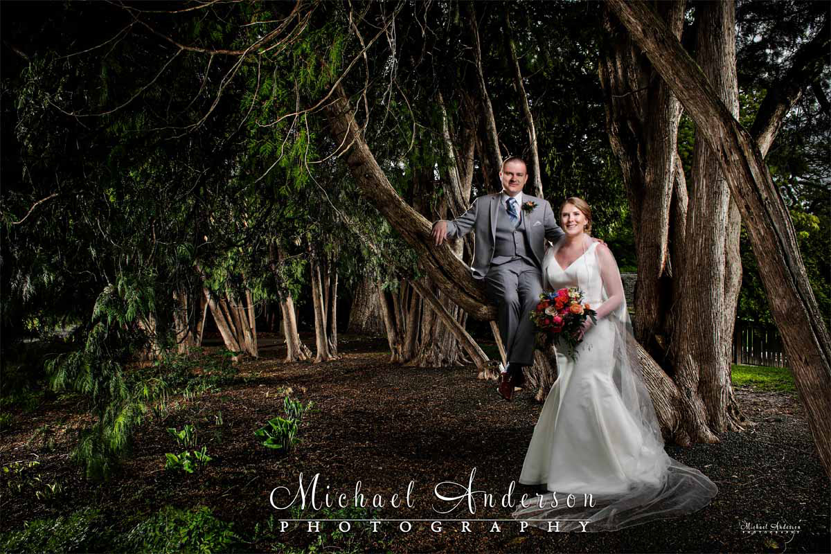 A pretty light painted wedding photograph of the bride and groom in a cedar grove at the White Bear Yacht Club in White Bear Lake, MN.