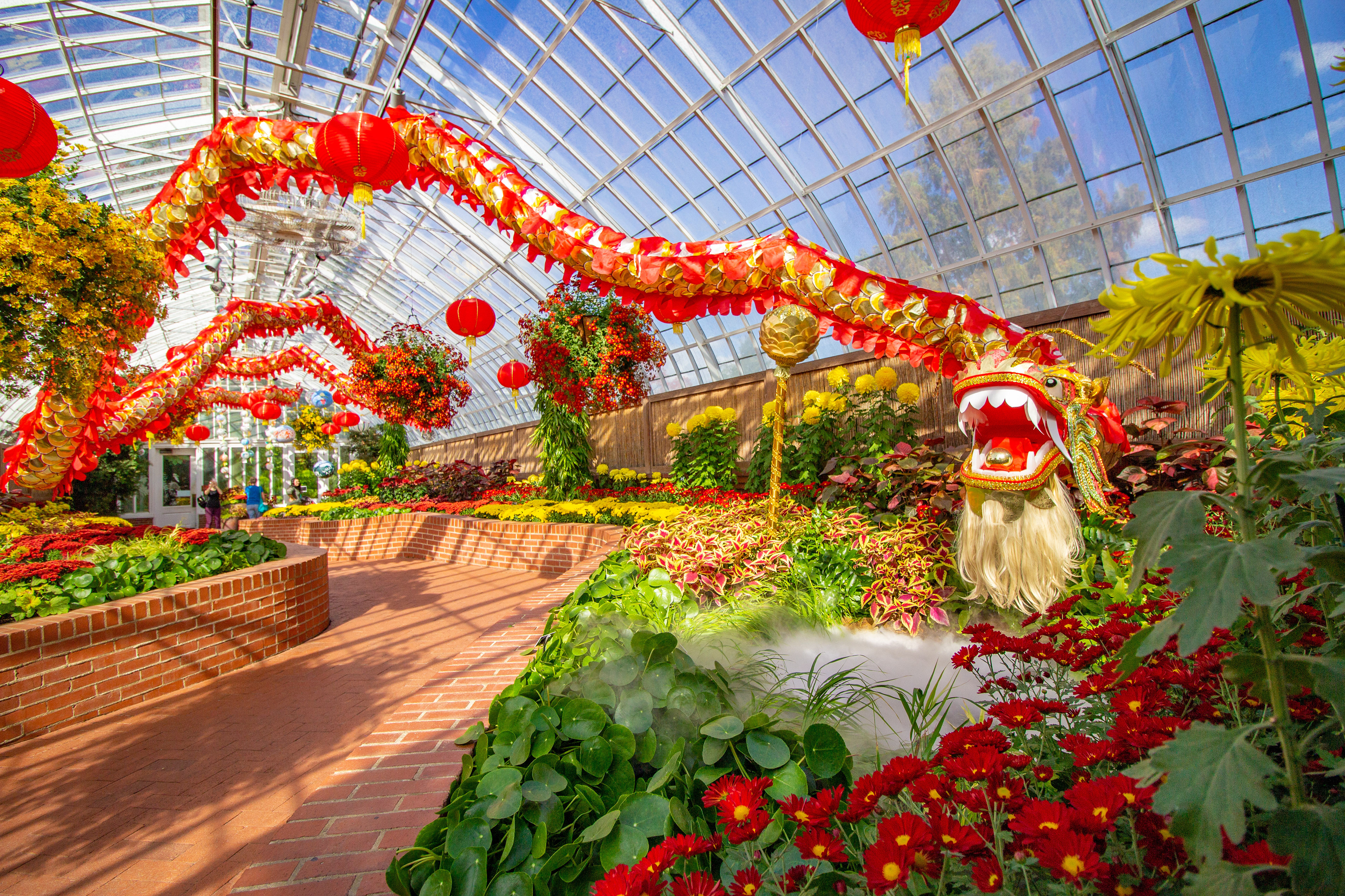 The Dragon, Phipps Fall Flower Show