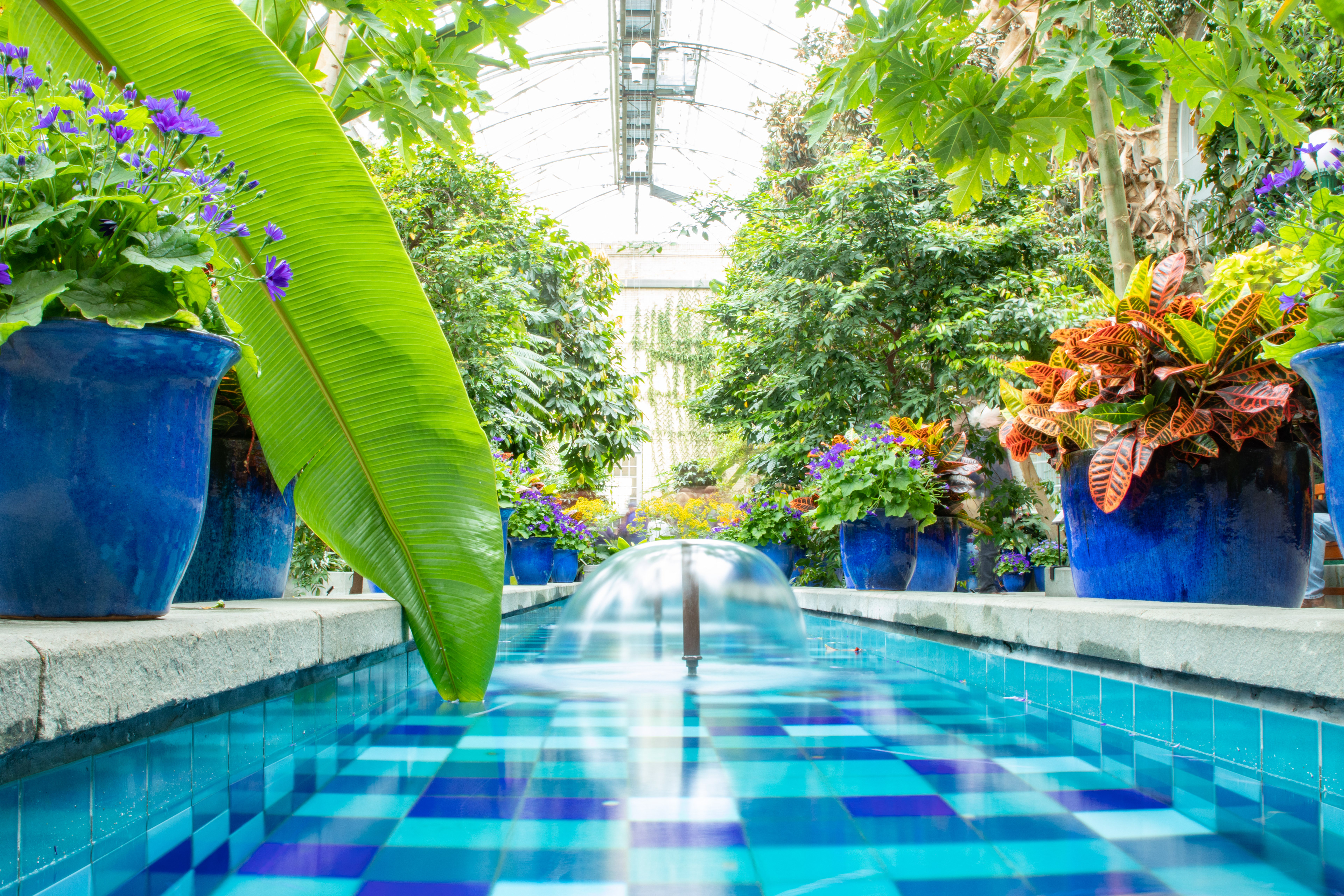 US Botanical Gardens