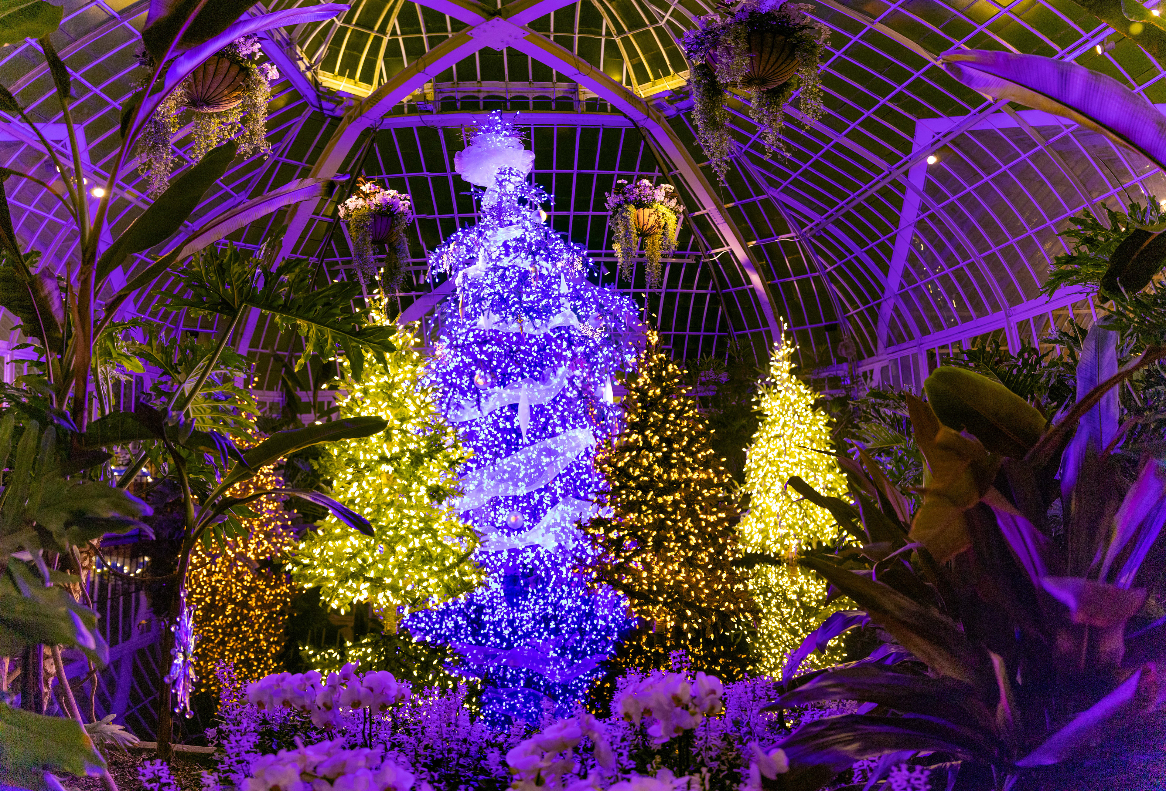Phipps Holiday Lighs 2019