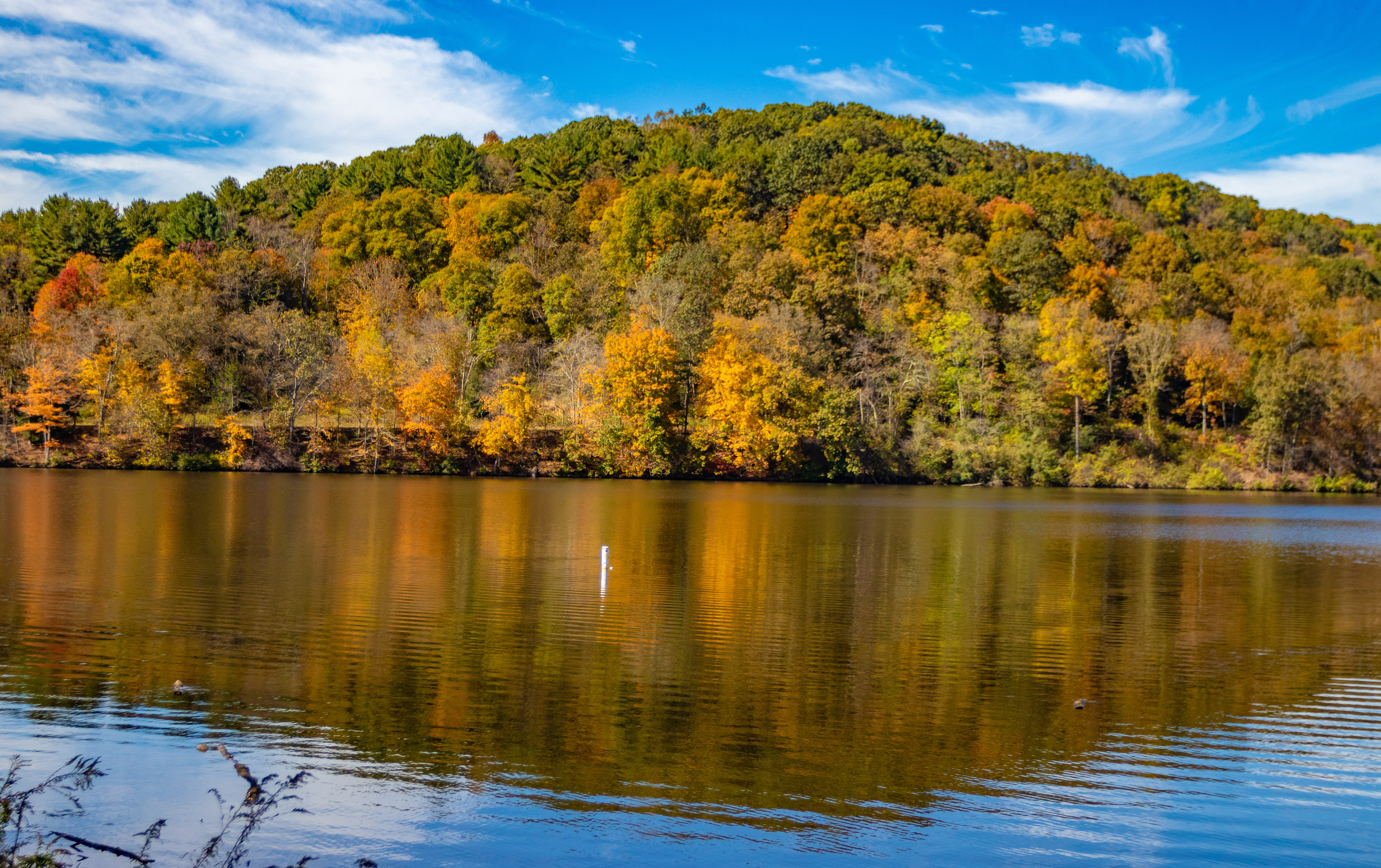 Fall at Racoon Creek