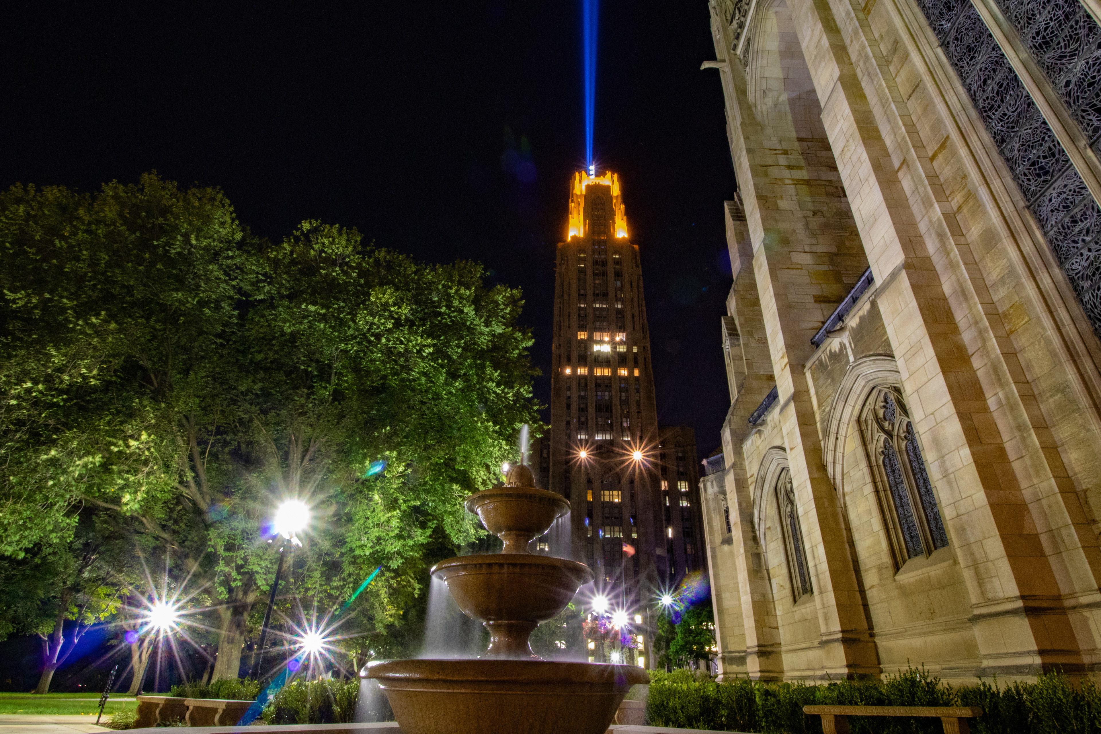 Pitt Victory Lights