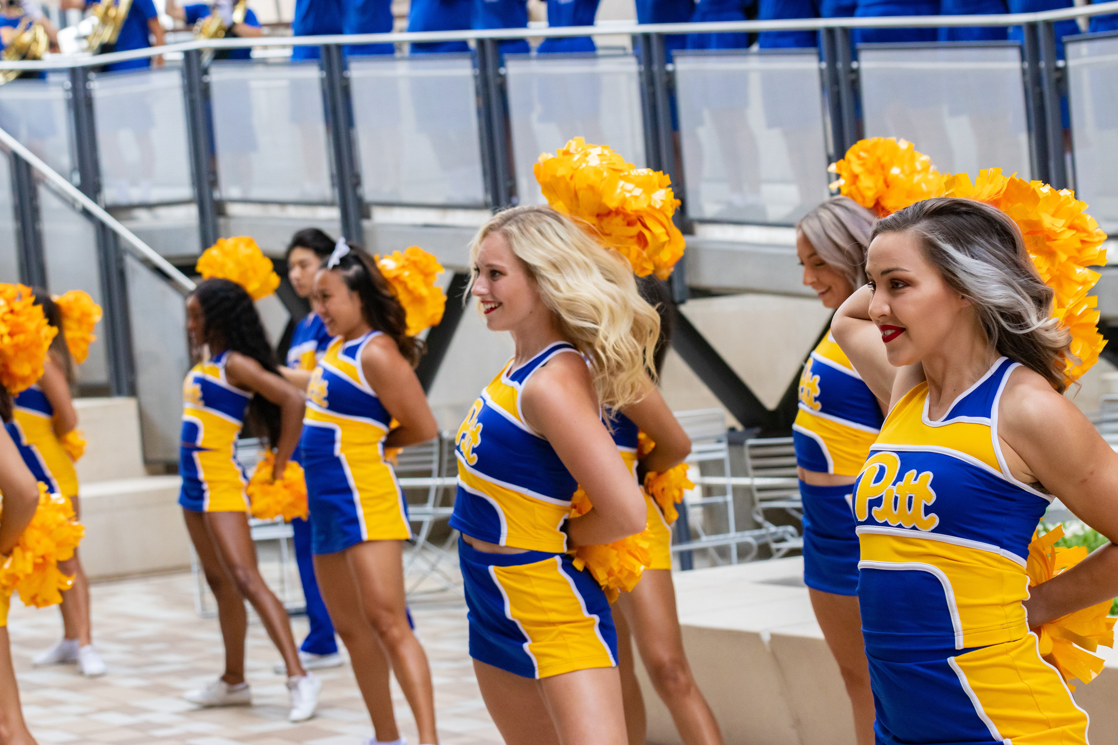 Pitt Cheer