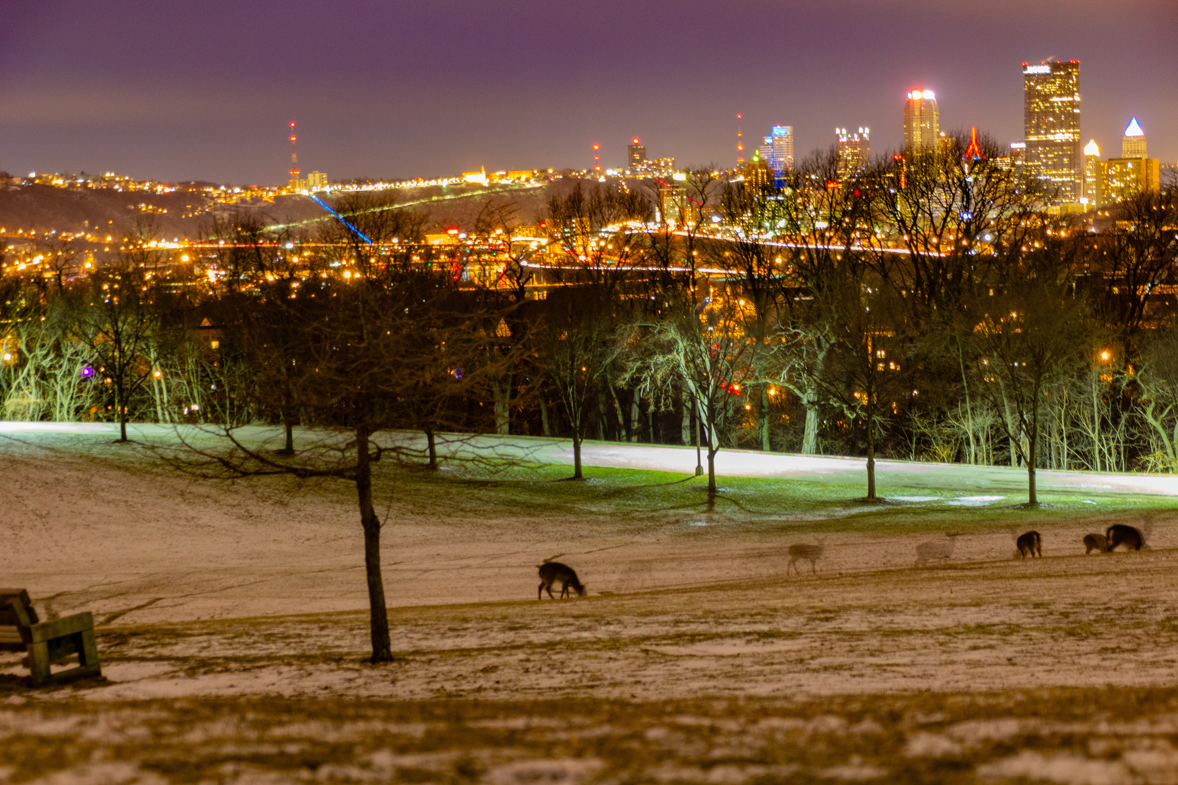 Pittsburgh at Night