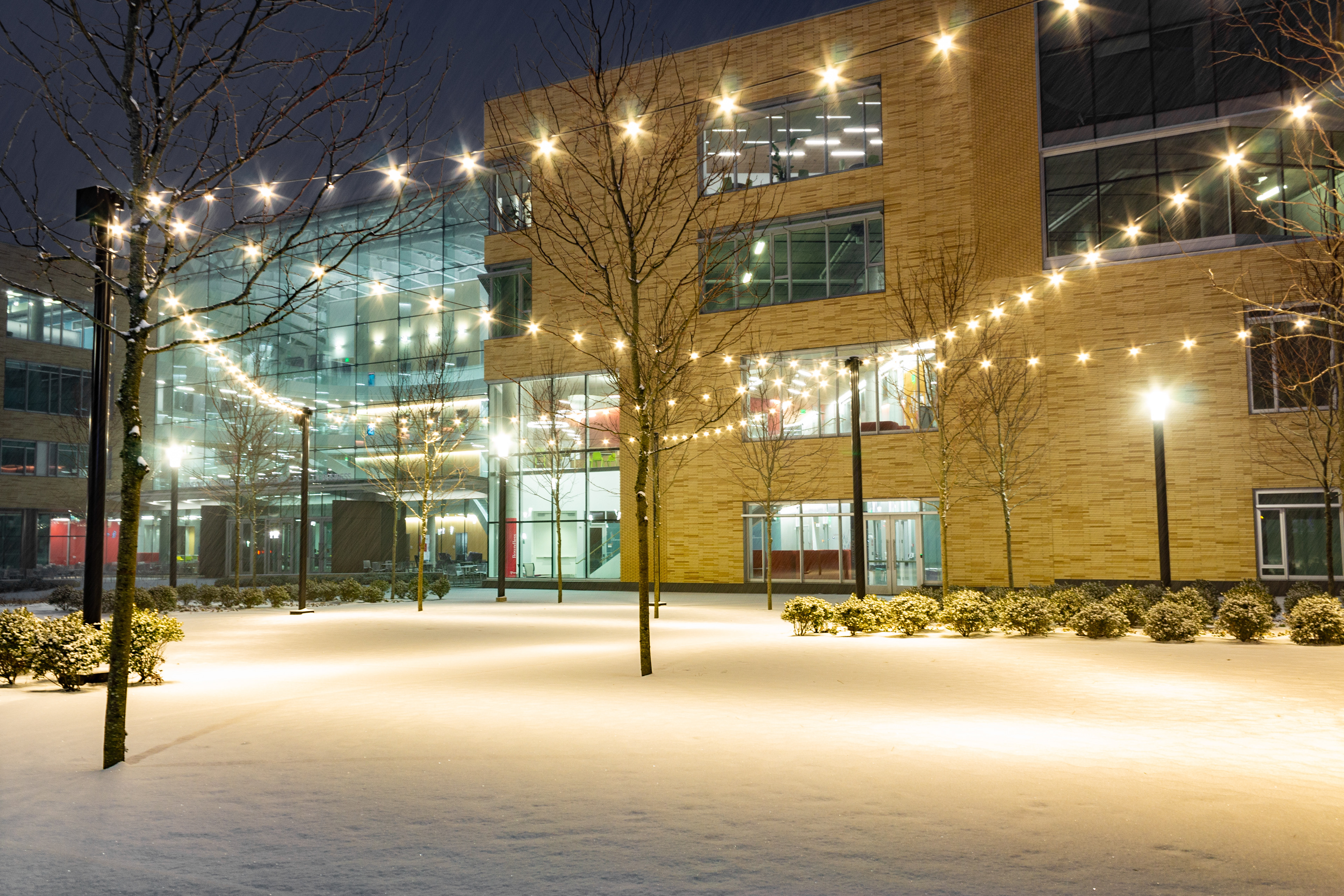Teppe Quad in the Snow
