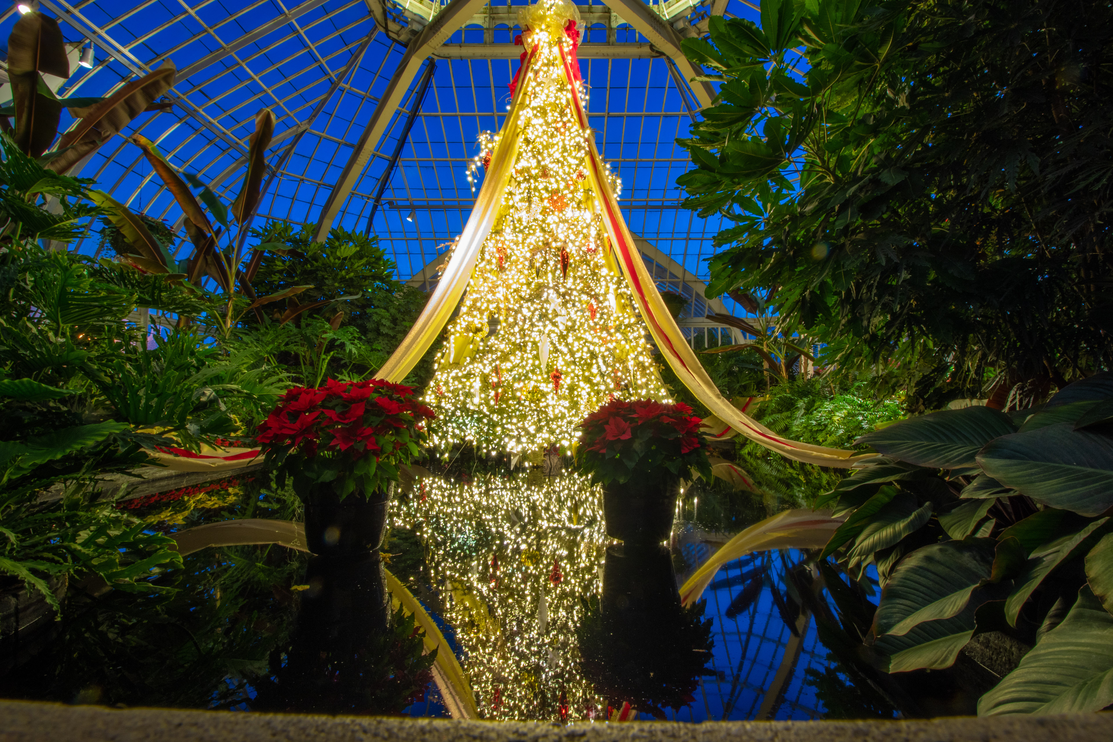 Phipps Holiday Lighs 2019