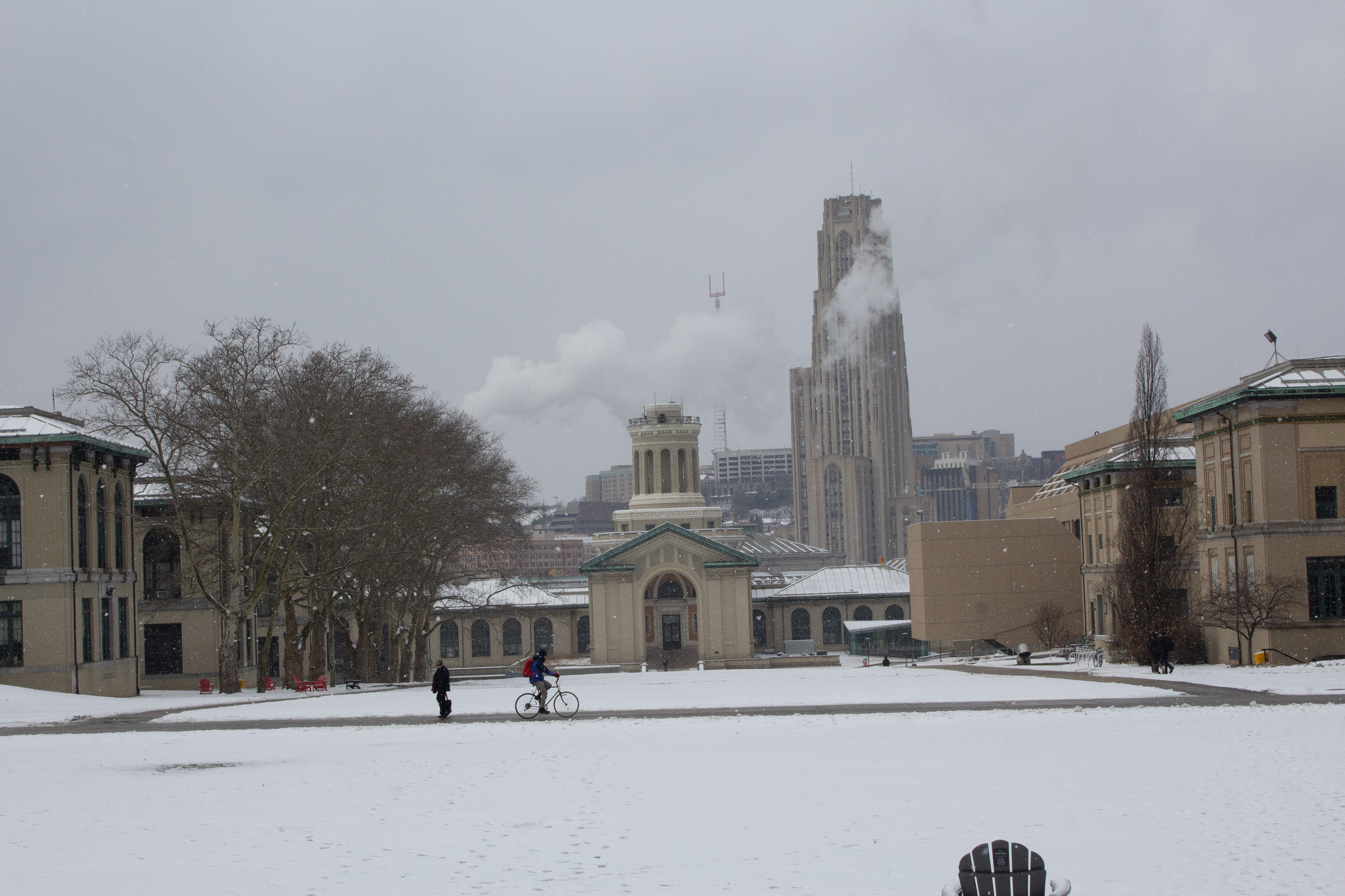 Snowy Campus