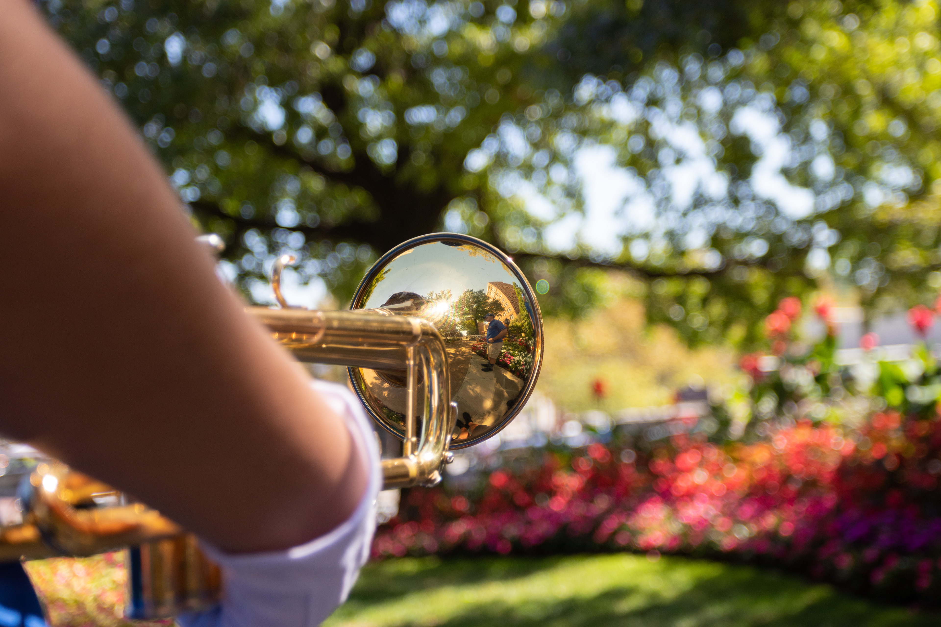 Protecting the Panther