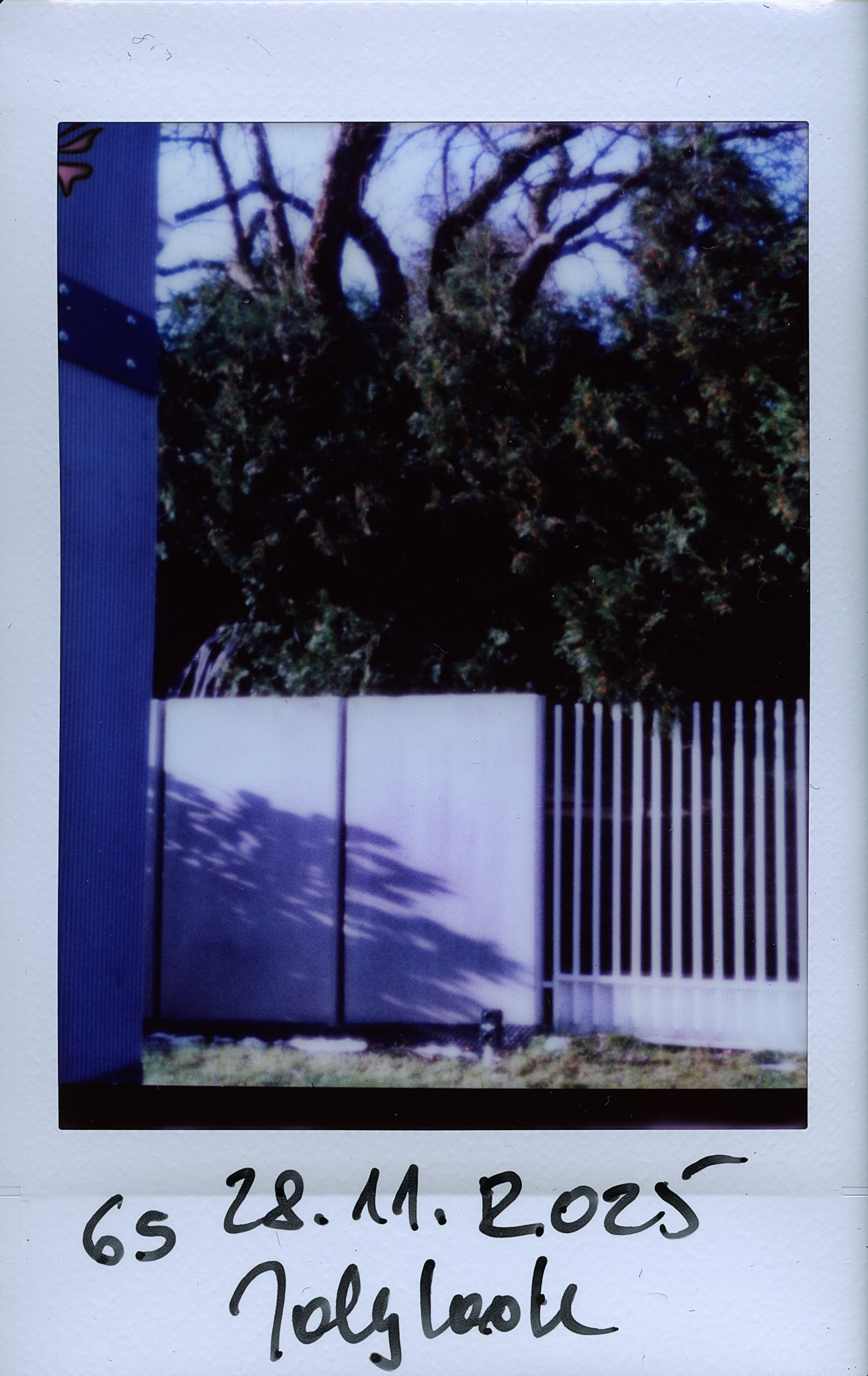 Ogrodzenie. Jollylook. © 2025 Tomasz Ryś