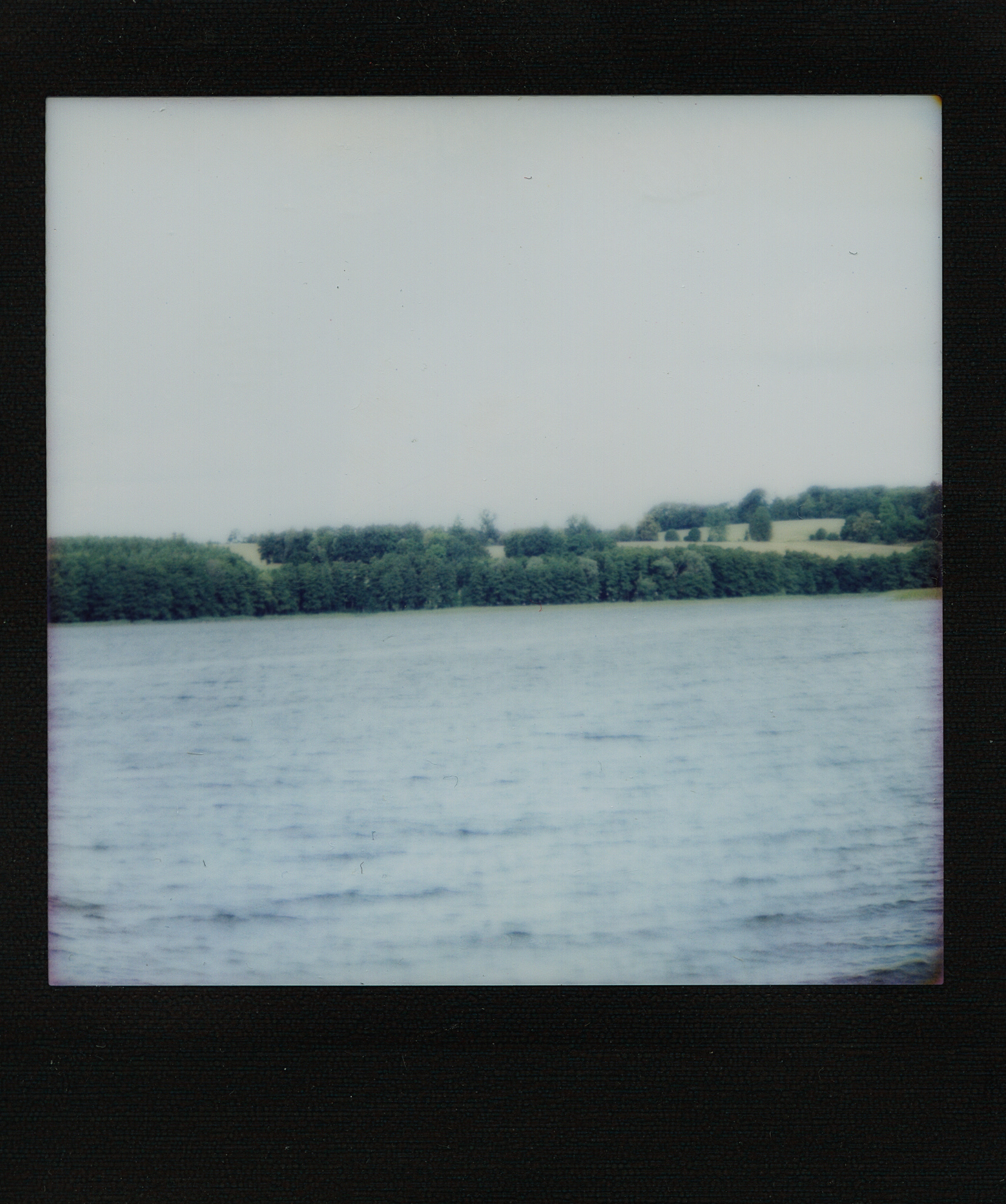 Biesówko. Canon AE-1 Program, Vivitar 75-200mm 1:3.8, ISO 100, tryb auto
