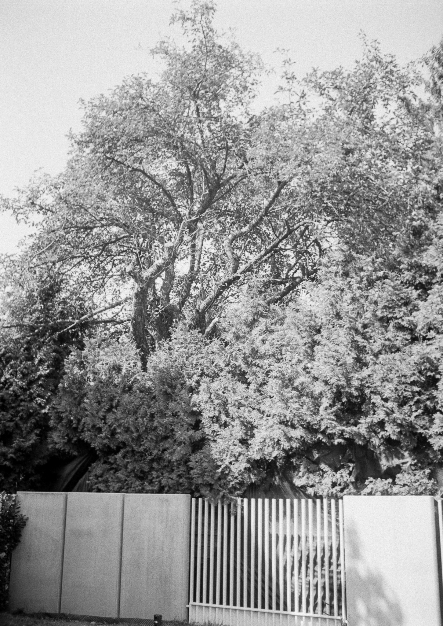 Kraków - © 2025 Tomasz Ryś