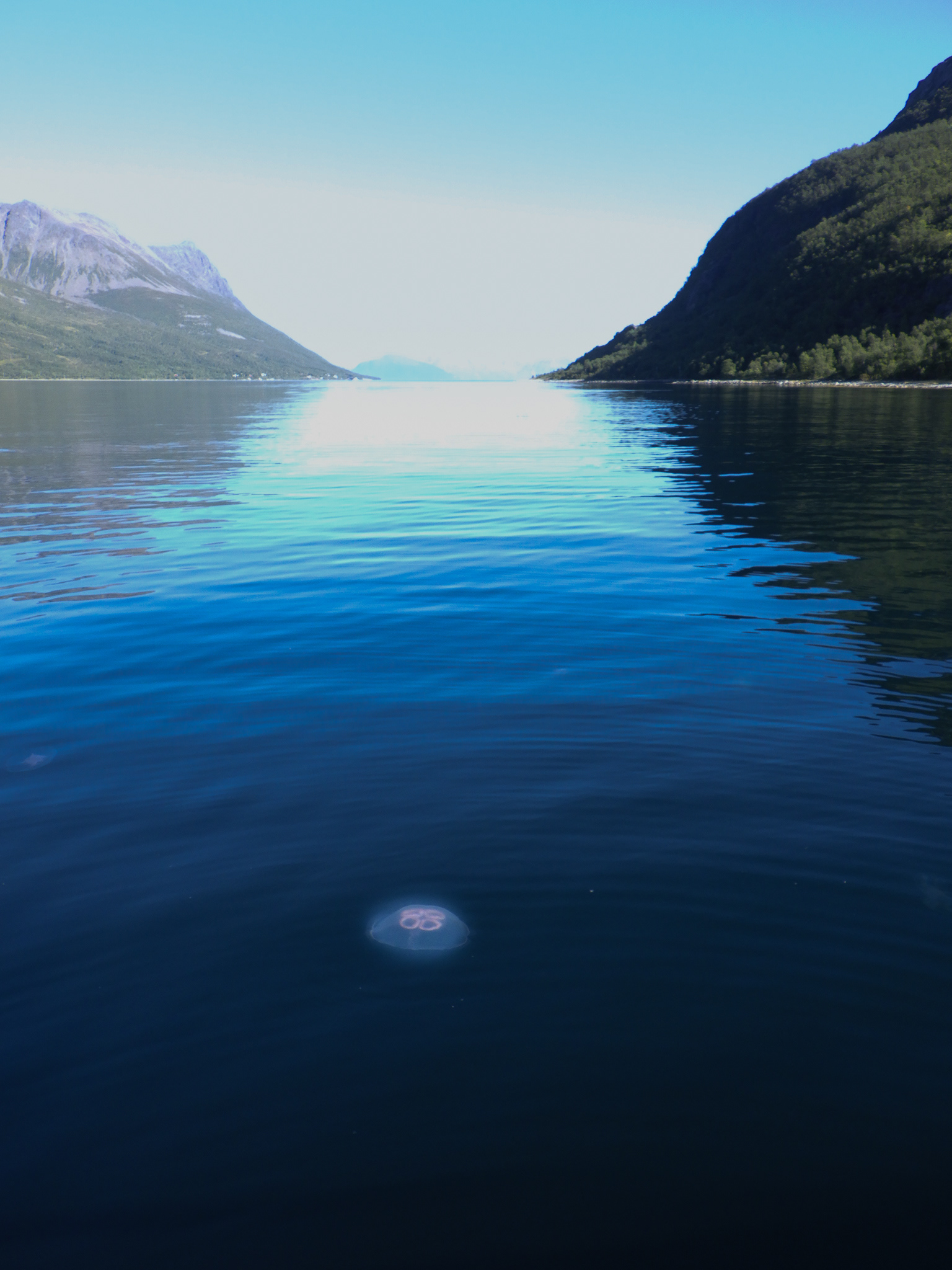 Uloya, Norwegia - © 2024, 2025 Tomasz Ryś