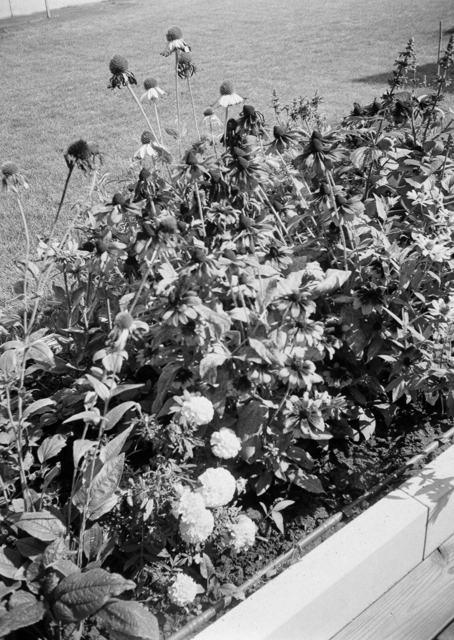 Kraków - © 2025 Tomasz Ryś