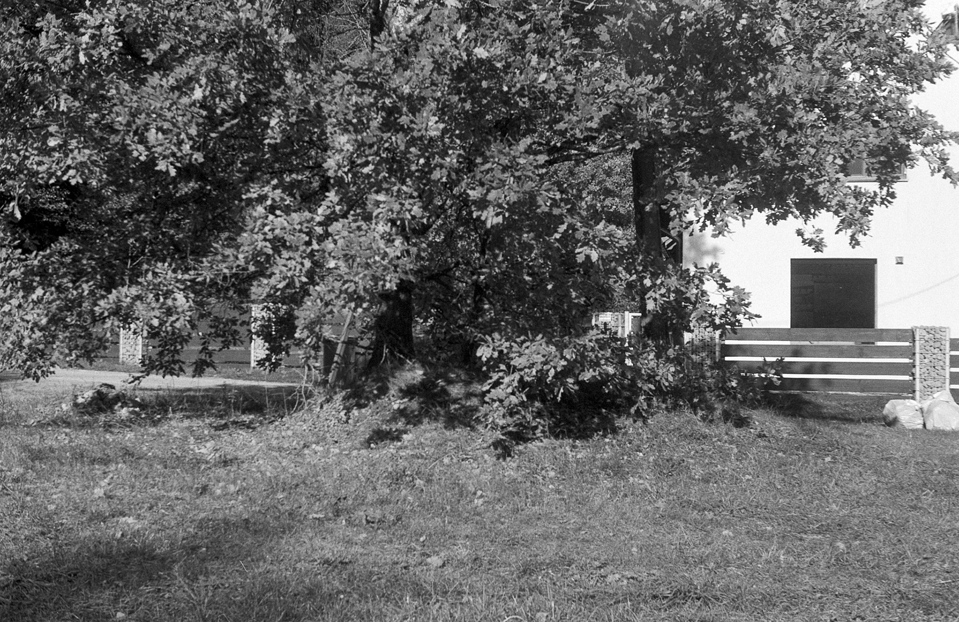 Leica Emitar 50mm